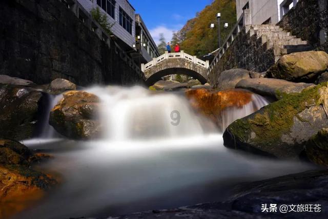 大山羔羊逃生